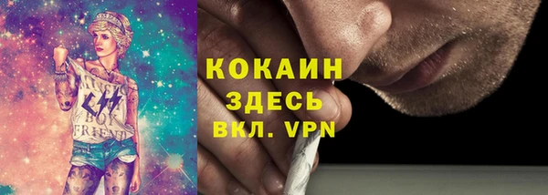 прущие грибы Аркадак