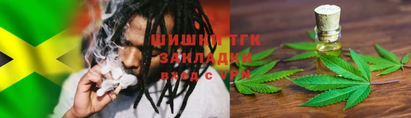 прущие грибы Аркадак