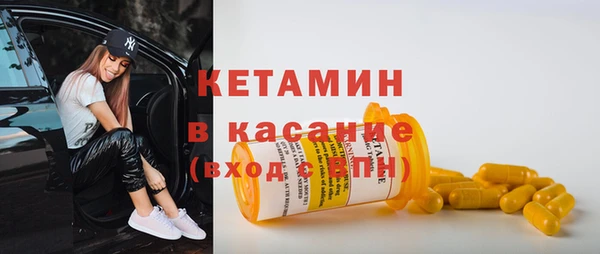 прущие грибы Аркадак