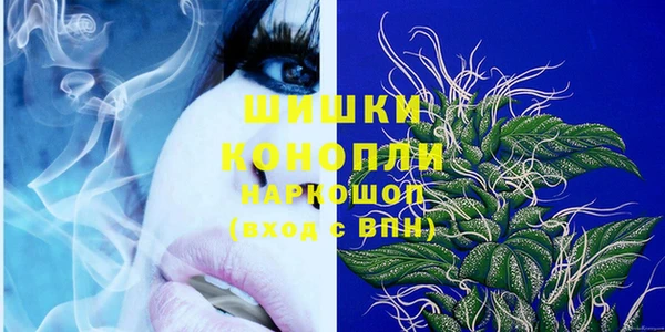 ПСИЛОЦИБИНОВЫЕ ГРИБЫ Арсеньев