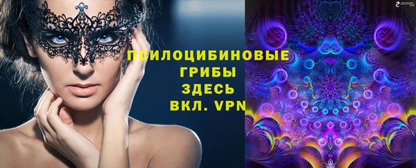 ПСИЛОЦИБИНОВЫЕ ГРИБЫ Арсеньев