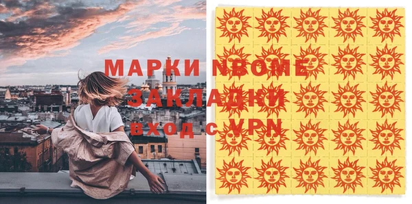 прущие грибы Аркадак