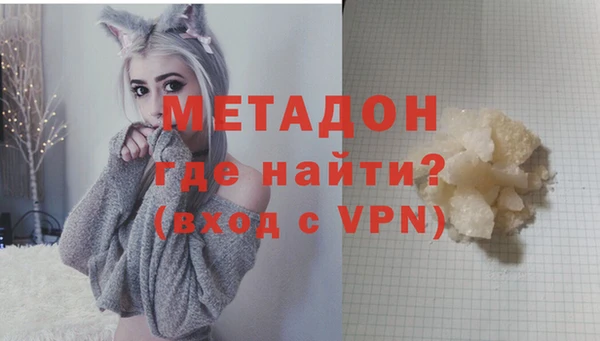 прущие грибы Аркадак
